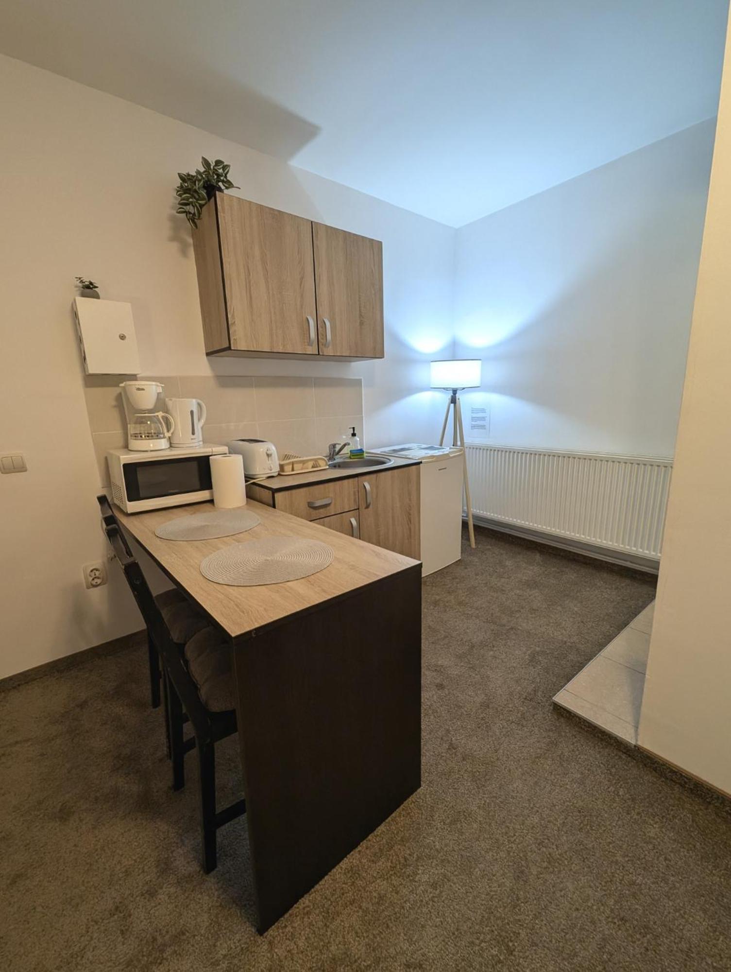 Sandor Central Studio Apartment Târgu-Mureş Exteriér fotografie
